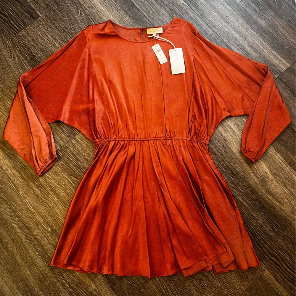 Anthropologie Burnt Orange Silky Mini Dress